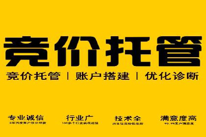 SEM推广实战：案例分析及优化建议